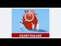 Heart Failure Phenotypes Causes Harrison-Based Lecture Simplified