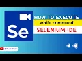 How to execute while command in Selenium IDE
