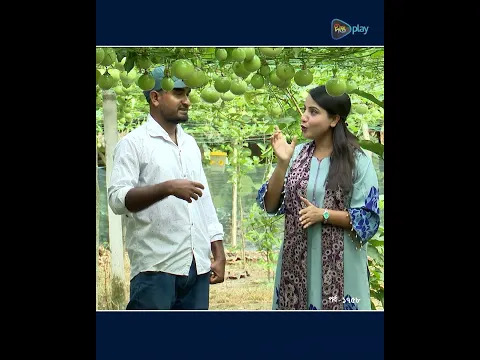 Deepto Krishi l প্যাশন ফল চাষের আসল রহস্য কী?