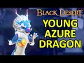 Young Azure Dragon Pet Black Desert Online BDO