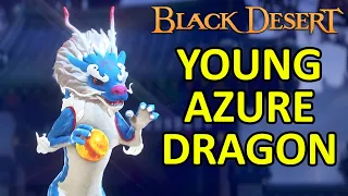 Young Azure Dragon Pet Black Desert Online BDO
