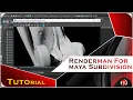 RenderMan 22 5 For Maya Subdivision Absolute Beginners