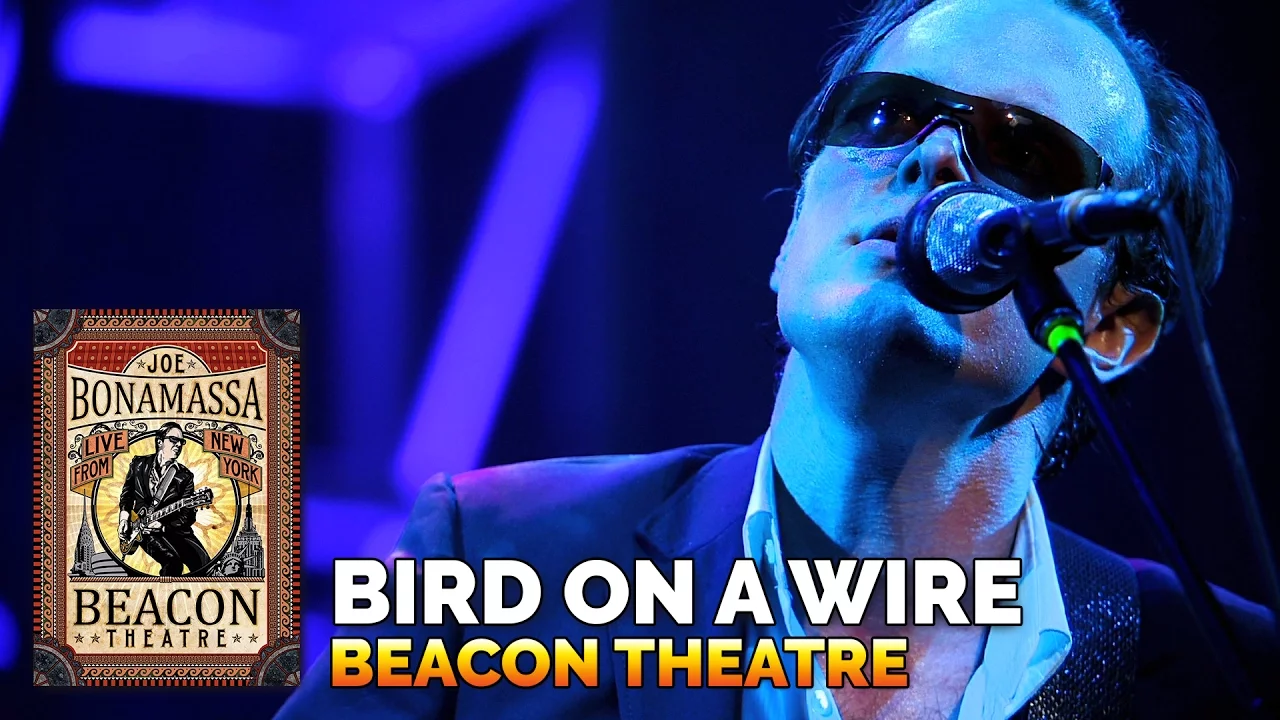 Joe Bonamassa Official - "Bird On A Wire" - Beacon Theatre Live From New York Joe Bonamassa Official - "Bird On A Wire" - Beacon Theatre Live From New York