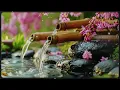 Deep Relaxation Music to Heal Mind, Deep Sleep, Spa and Meditation