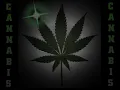 Dime - Gondwana