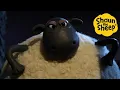 Lagu Shaun the Sheep 🐑 Boss Sheep! - Cartoons for Kids 🐑 Full Episodes Compilation [1 hour]