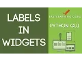 Labels in Widgets - PythonGUI Tutorial