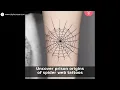 Ultimate Spider Web Tattoo 8 Designs Meanings