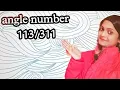 angle number 113 angle number 311 angle number meanings