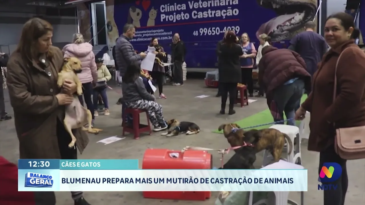 Blumenau prepara mais um mutirão de castração de animais