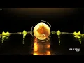 Lion of Judah (Official Visualizer) | vL!Nv