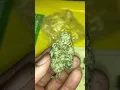 Weed review today s strain is Hawaiian Punch