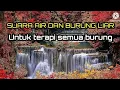 Lagu SUARA AIR DAN BURUNG LIAR DI ALAM BEBAS | UNTUK TERAPI SEMUA JENIS BURUNG.