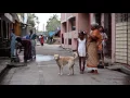 KO KO MO - INDIA 2015
