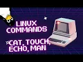 Essential Linux Commands cat touch echo and man Explained