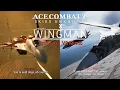 Lagu [Ace Combat 7 X Project Wingman] Crimson 1 VS Mimic (Rage \u0026 Scream).
