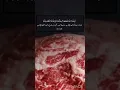 Download Lagu Surah Al Hajj |  Ayat37 | Surah  22#shortsvideo     #quran#surahalhajj