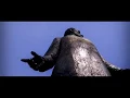 Parque Canas Zacatecoluca DJI OSMO Plus Test Filtro