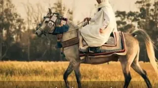 المسرارة تمشي وتدور قصبة Lmessrara Gasba Dance 