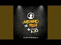 Download Lagu Perfeitinha
