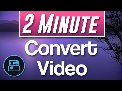 Download MP3 How to use Movavi Video Converter Premium