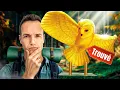Download Lagu La Chouette d’Or retrouvée, la Vérité qui Dérange