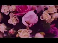 Sun Will Rise - Chris Bussey, Craig Bussey & Annie Drury | Music For Weddings | Audio Network