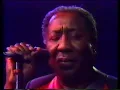 Muddy Waters With Pinetop Perkins In Concert.