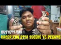 Download Lagu BURUNG KUALITAS GRADE A SUPER, KL MASALAH HARGA BUKAN HARGA MATI DAN GOYANG SAMPE JADI