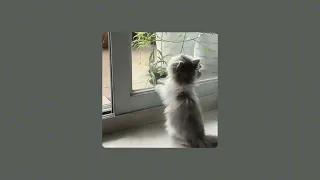 معقول   مسرع            دندنها