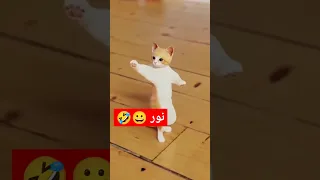 الاكتر طلبا  نور نور  العراق السعودية قطر الامارات الكويت البحرين اليمن  الجزائر  اكسبلور            دندنها