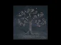 AURORA - 00 Other Songs and Versions - 13 Cure for me, acoustic - Instrumental only