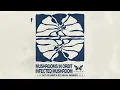 Download Lagu Infected Mushroom \u0026 Yahel - Electro Panic (Eitan Reiter Remix)