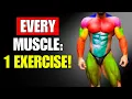 Download Lagu 6 Powerful Exercises That WORK EVERY MUSCLE in JUST ONE MOVE!