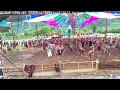 M-Run live @ Shankra Festival Switzerland 2023