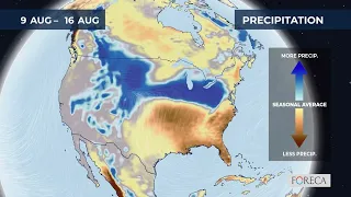 Monthly precipitation forecast for the USA 2026