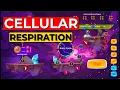 Cellular Respiration Tagalog