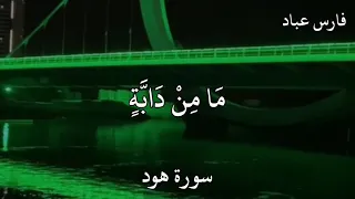 فارس عباد سورة هود إ ن ي ت و ك ل ت ع ل ى الل ه ر ب ي و ر ب ك م م ا م ن د اب ة 