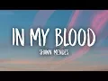 Download Lagu Shawn Mendes - In My Blood (Lyrics)