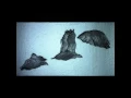 Brenky - Fly Out