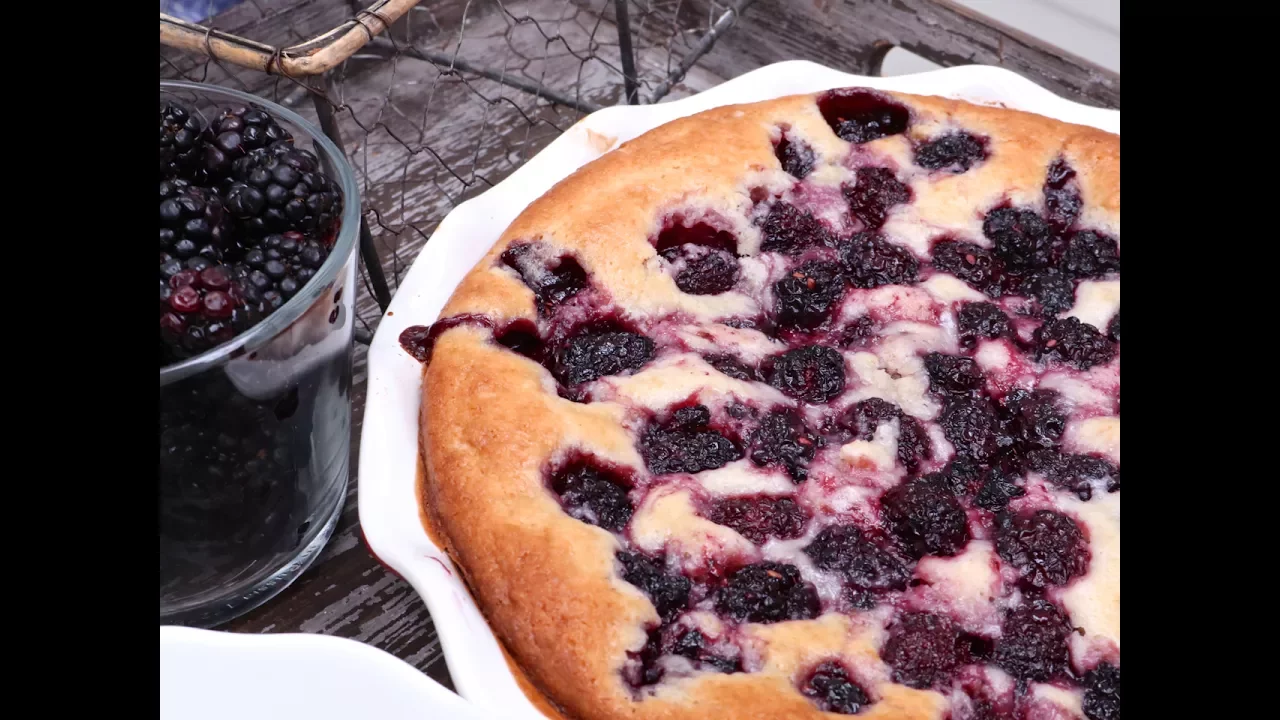 Blackberry Cobbler Recipe | The Pioneer Woman | Food Network