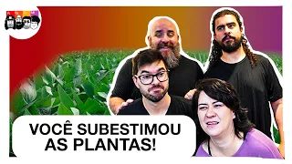 VOCÊ NÃO IMAGINA do que UMA PLANTA é CAPAZ!