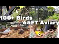 Download Lagu Kandang Burung 20m | Info Terbaru Penangkaran Burung | Burung Paruh Lunak dan Finch | S2:Ep9 | Suara Burung #burung #burung