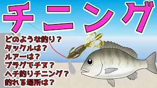 【チニングの極意】今釣れてます！話題のルアー釣りを徹底解説！