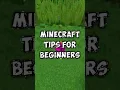 Beginner Minecraft Tips 1