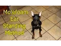 Doberman ear method