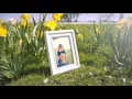 Happy Spring Time Gallery with Flowers and Ducks After Effects Template