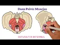 Assessment of Pelvic Floor Muscles A Guide
