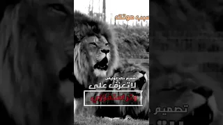 حالات قويه مع عبارات تهديد الاسود  هيبة الاسد دندنها