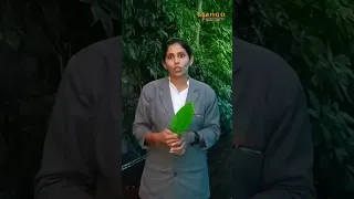 Https Youtu Be K4pxW EtYwc Si FlIvVNw2iqWh4hKt 